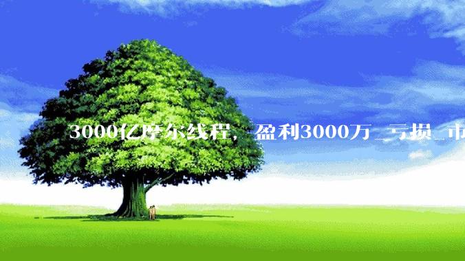 3000亿摩尔线程，盈利3000万_亏损_市值超过_同比增长